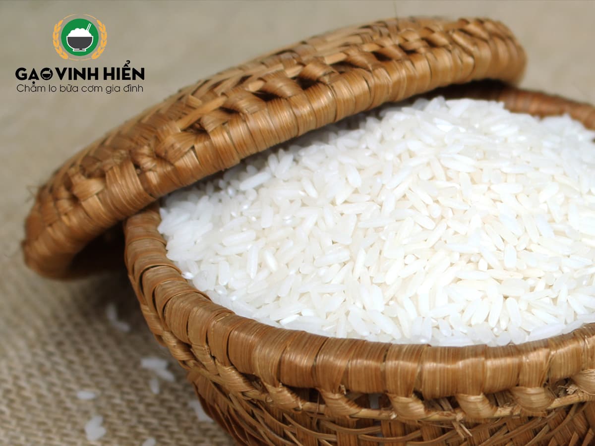 Nên Chọn Loại Gạo Nào Làm Hủ Tiếu